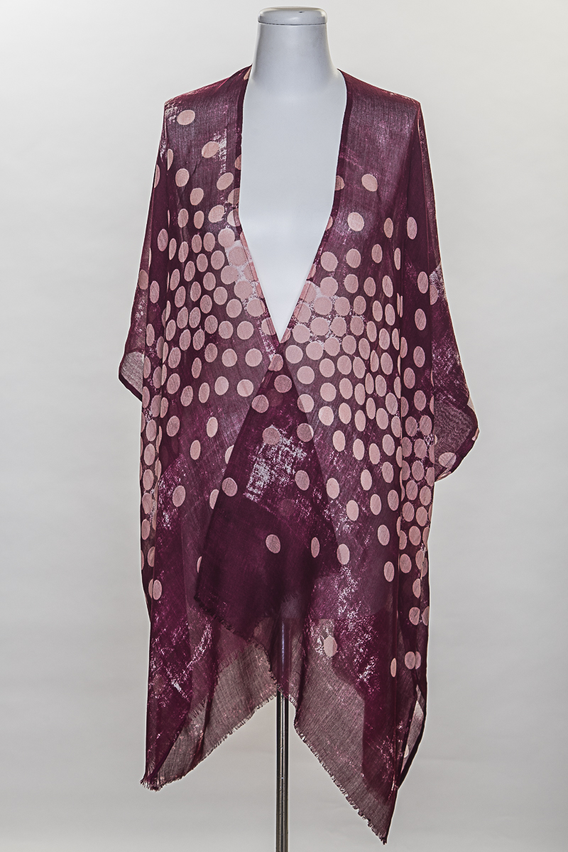 SE-881_07Bordo1.JPG